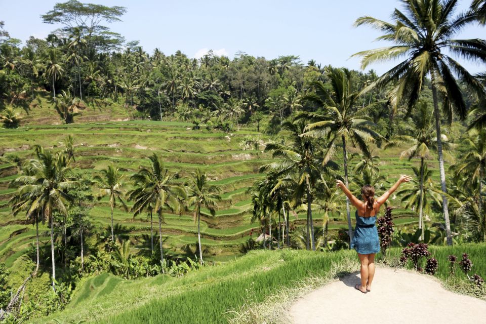 Ubud: Monkey Forest, Rice Terrace & Tanah Lot Private Tour - Discovering Balis Artistic Scene