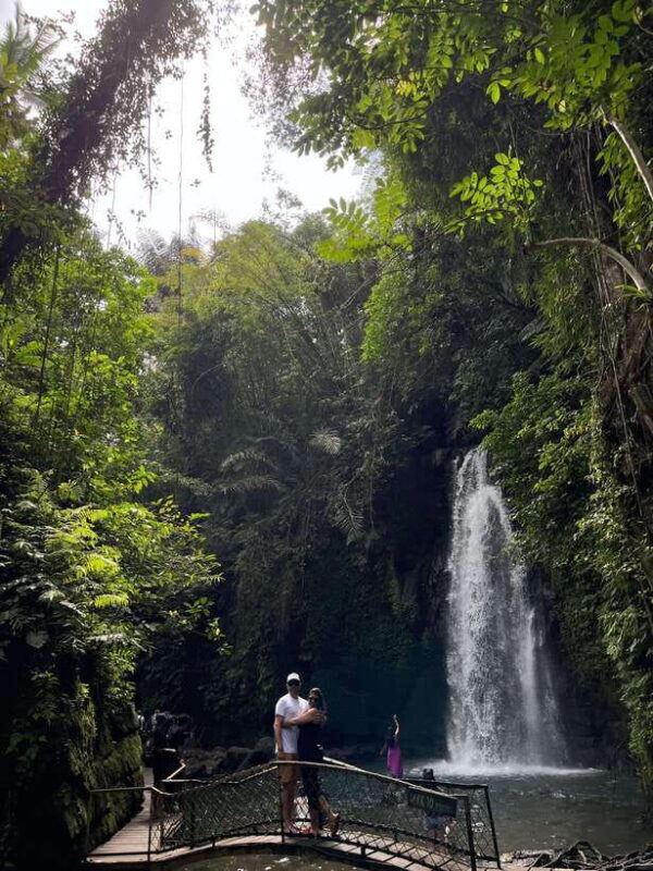 Ubud: Monkey Forest, Rice Terrace, Waterfall, Water Temple - What to Expect from This Ubud Day Tour
