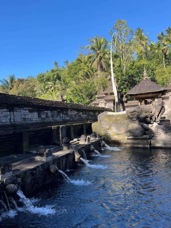 Ubud: Monkey Forest, Rice Terrace, Waterfall, Water Temple - What’s Not Included and What to Bring