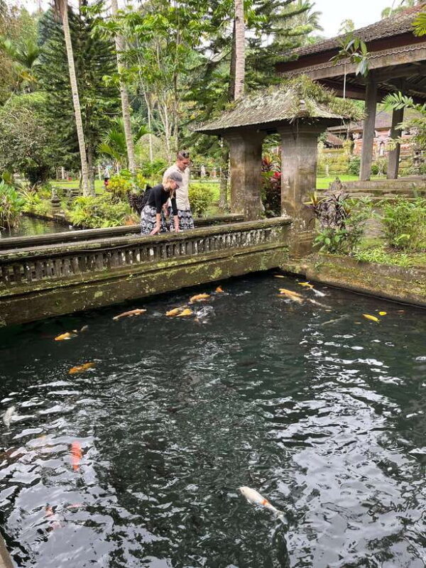 Ubud: Monkey Forest, Rice Terrace, Waterfall, Water Temple - The Experience and Patient Reviews
