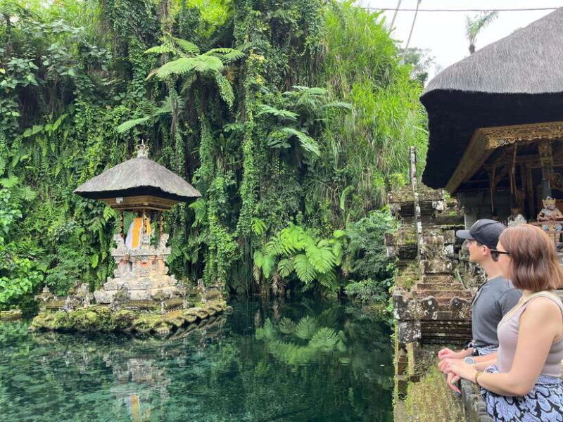 Ubud: Monkey Forest, Rice Terrace, Waterfall, Water Temple - Analyzing the Value of This Tour