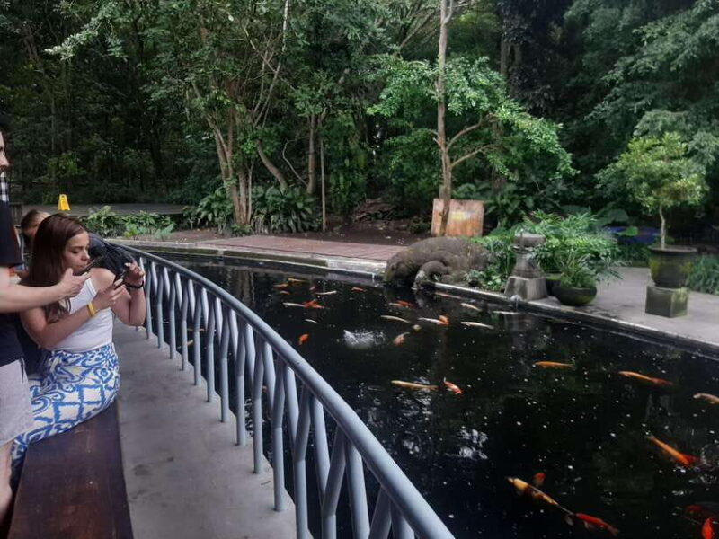 Ubud: Monkey Forest, Rice Terraces, and Waterfall - Key Points