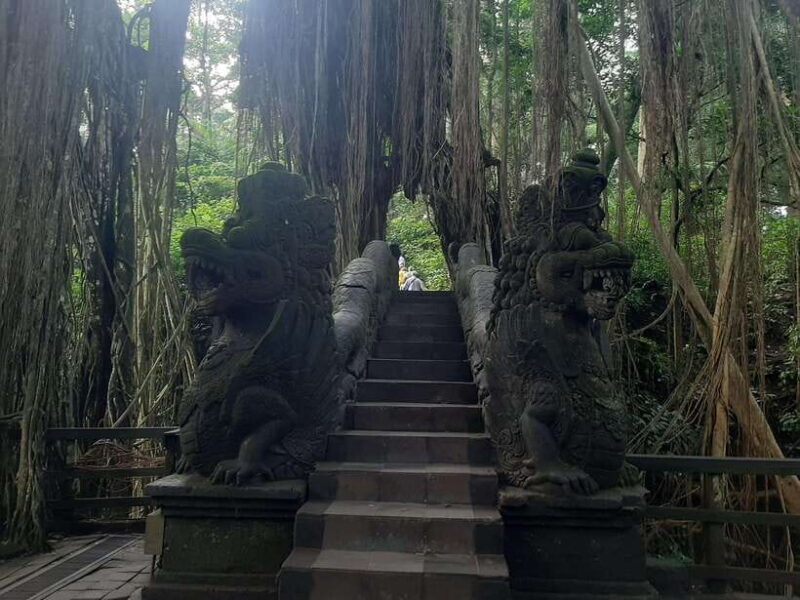 Ubud: Monkey Forest, Rice Terraces, and Waterfall - What Past Travelers Say