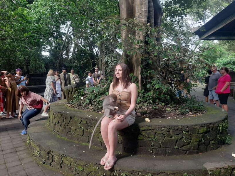 Ubud: Monkey Forest, Rice Terraces, and Waterfall - Formal Details and Final Thoughts