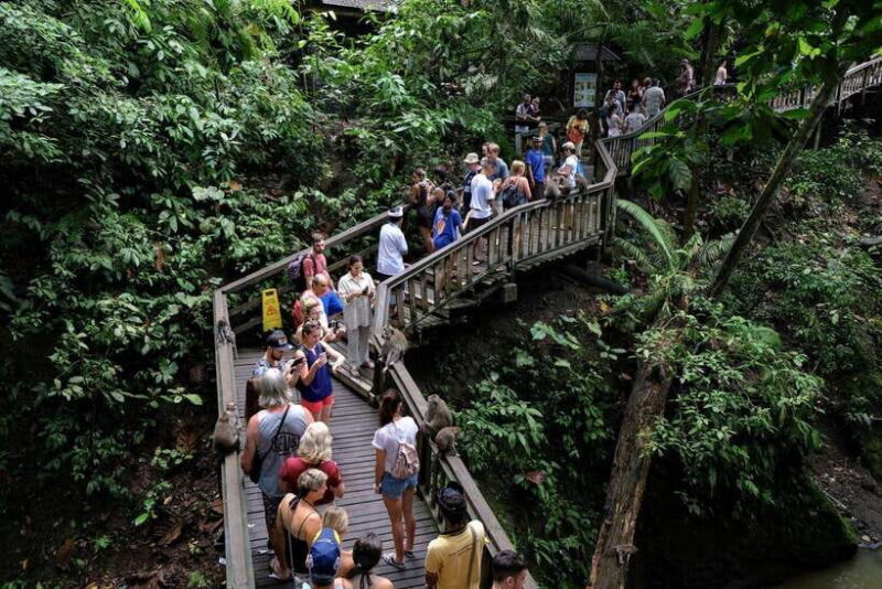 Ubud: Monkey Forest, Rice Terraces, and Waterfall Tour - Why Choose This Ubud Tour?