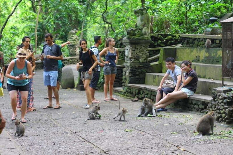 Ubud: Monkey Forest, Rice Terraces, and Waterfall Tour - Is This Tour Worth It?