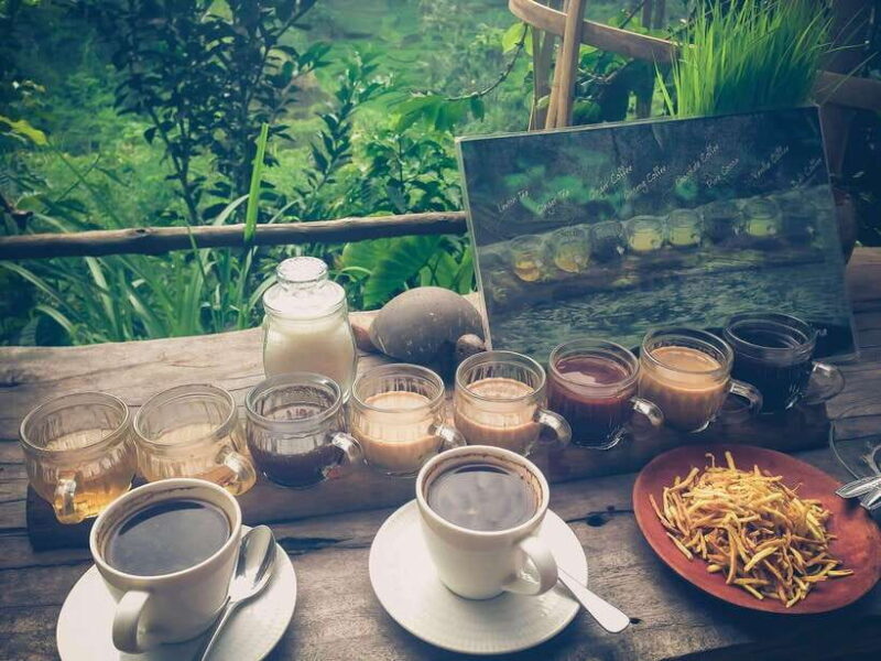 Ubud: Monkey Forest, Rice Terraces, and Waterfall Tour - Who Will Love This Tour?