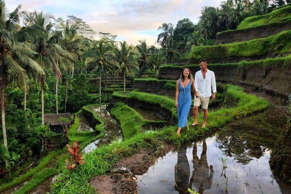 Ubud: Monkey Forest, Rice Terraces, Temple & Waterfalls Tour - Tegalalang Rice Terraces