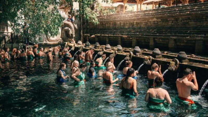 Ubud: Monkey Forest, Rice Terraces, Temple&Petanu Waterfall - An In-Depth Look at the Ubud Tour Experience