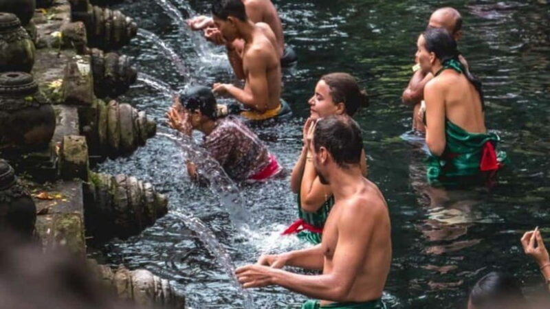 Ubud: Monkey Forest, Rice Terraces, Temple&Petanu Waterfall - Ubud Monkey Forest: Encounters and Selfies