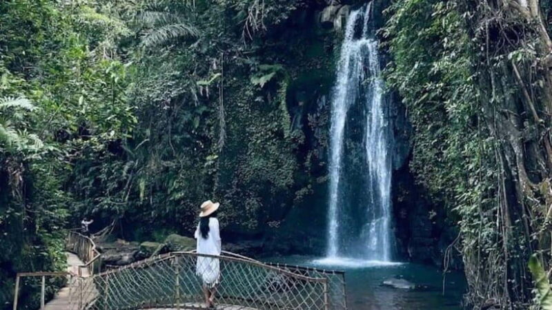 Ubud: Monkey Forest, Rice Terraces, Temple&Petanu Waterfall - The Swing: For the Brave and Adventurous