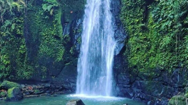 Ubud: Monkey Forest, Rice Terraces, Temple&Petanu Waterfall - Authenticity and Visitor Feedback