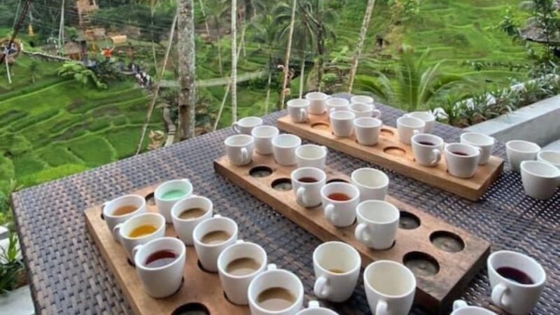Ubud: Monkey Forest, Rice Terraces, Temple&Petanu Waterfall - Is This Tour Right for You?