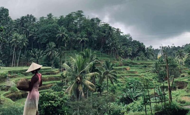 Ubud: Monkey Forest, Rice Terraces, Waterfall & Temple - Nature’s Refreshing Touch: Ulu Petanu Waterfall