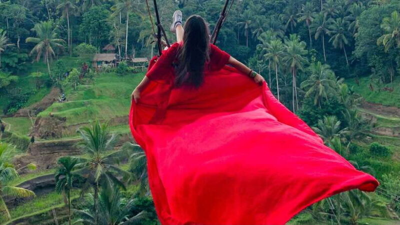 Ubud: Monkey Forest, Rice Terraces, Waterfall & Temple - Cultural and Culinary Insight: Balinese Coffee Plantation
