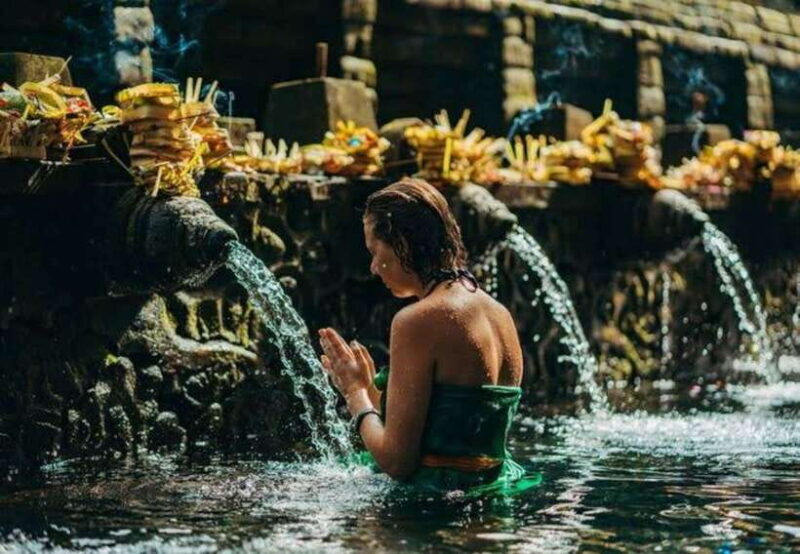 Ubud: Monkey Forest, Rice Terraces, Waterfall & Temple - Who Is This Tour Best For?
