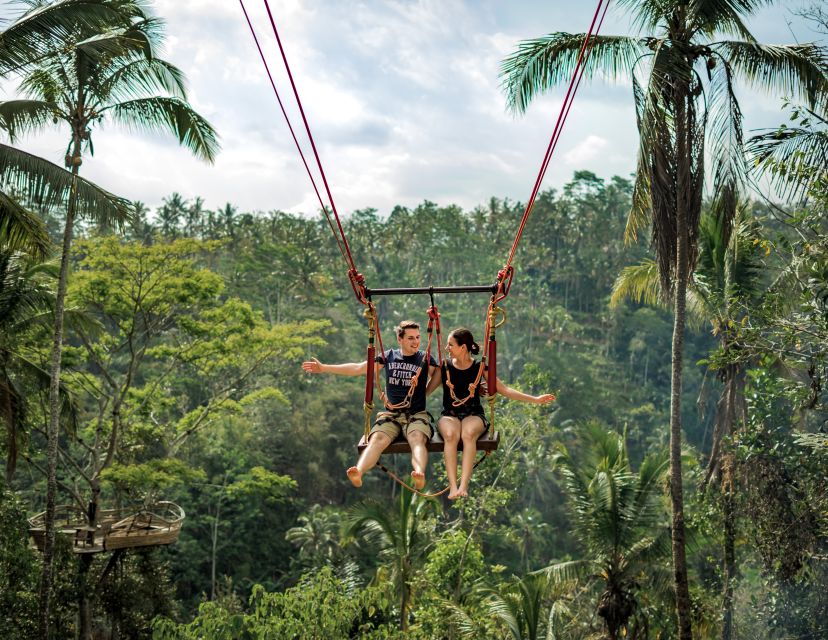 Ubud: Monkey Forest Sanctuary & Jungle Swing Half-Day Tour - Ubud Monkey Forest