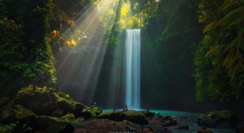Ubud: Monkey Forest, Tegenungan Waterfall, and Rice Terraces - Authenticity and Value