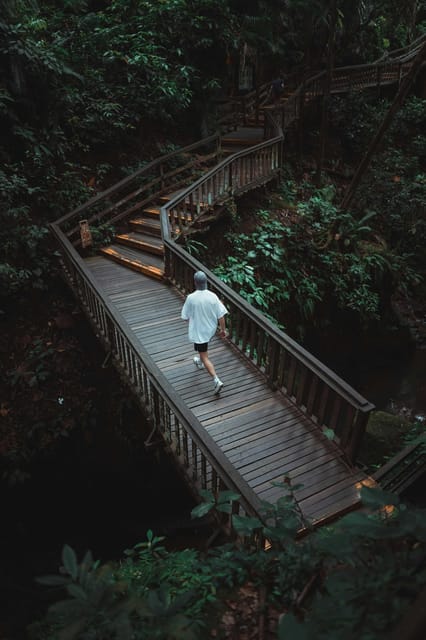 Ubud: Monkey Forest, Tegenungan Waterfall, and Rice Terraces - Tour Inclusions