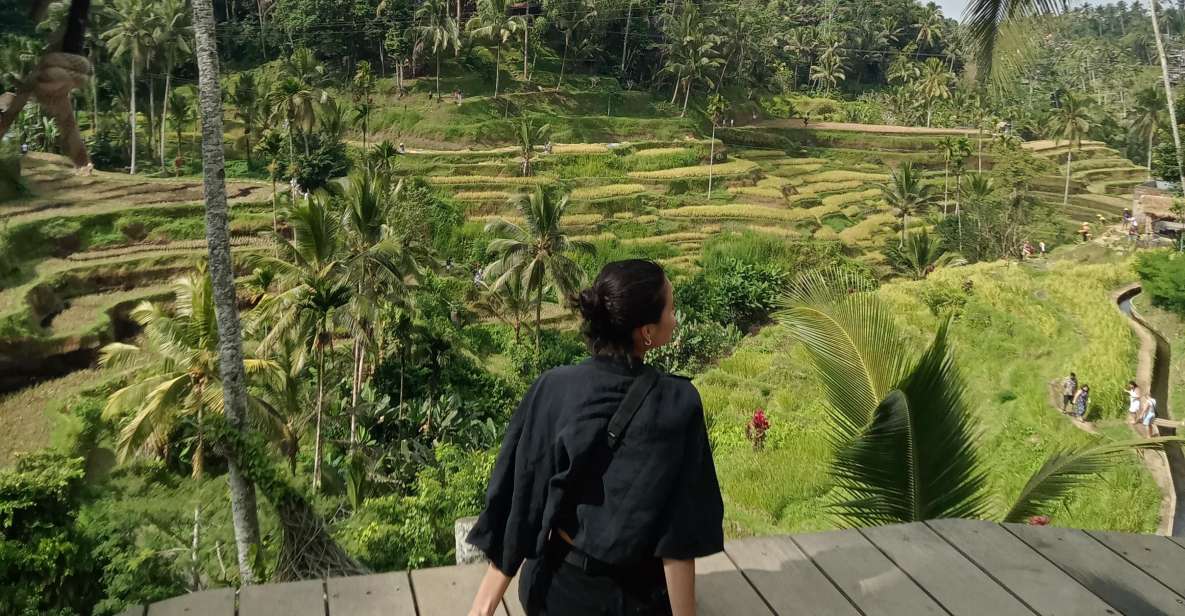 Ubud : Monkey Forest, Temple and Waterfall Private Tour - Tegallalang Rice Terraces