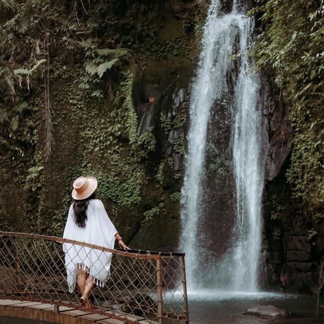 Ubud : Monkey Forest, Temple, Rice Terrace and Art Village - Itinerary