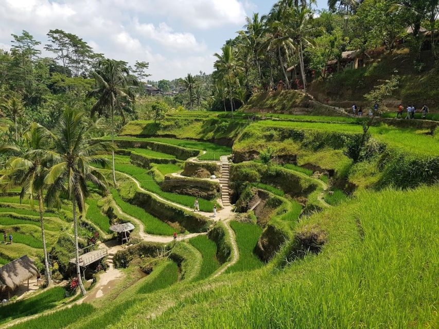 Ubud : Monkey Forest, Temple, Rice Terrace and Art Village - Ulu Petanu Waterfall