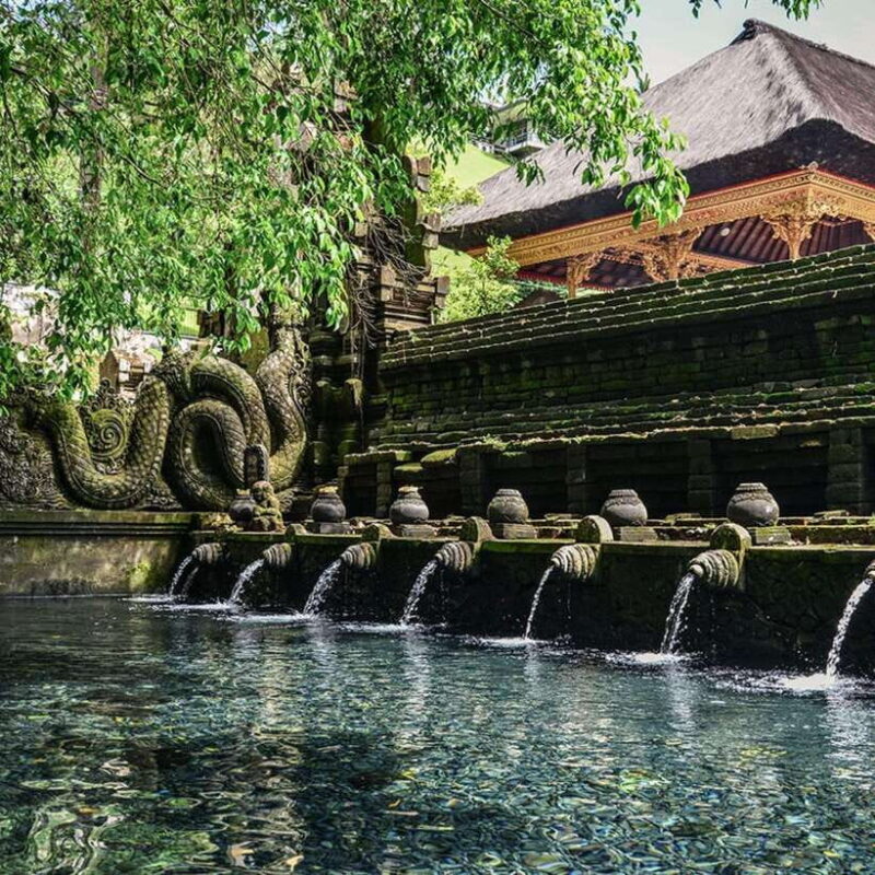 Ubud: Monkey Forest, Temple, Rice Terraces, Hidden Waterfall - Final Thoughts
