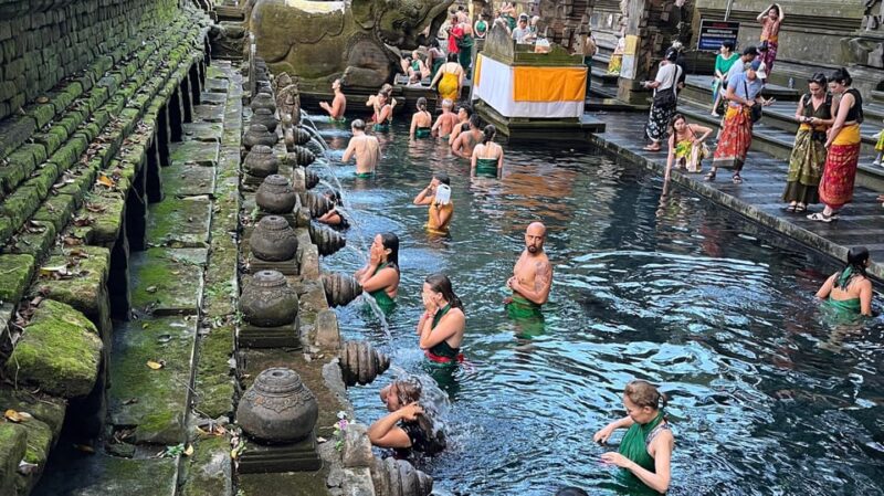 Ubud: Monkey Forest, Water Temple, Rice Terrace & Waterfall - Good To Know