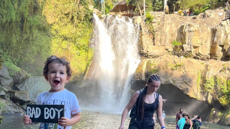 Ubud: Monkey Forest, Water Temple, Rice Terrace & Waterfall - Itinerary Highlights