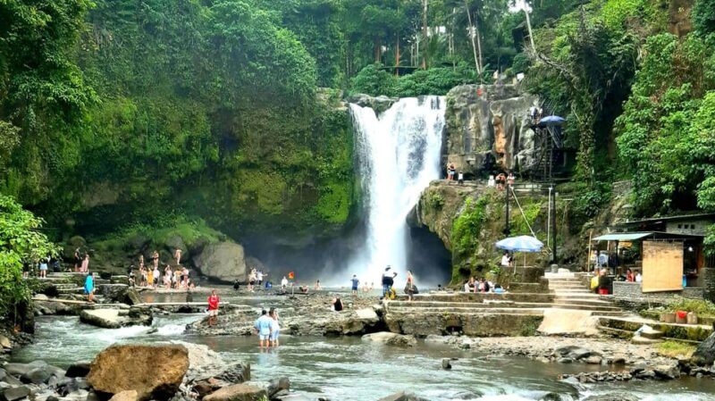 Ubud: Monkey Forest, Water Temple, Rice Terrace & Waterfall - Inclusions and Exclusions