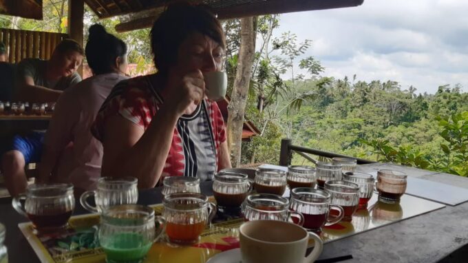 Ubud: Monkey Forest, Water Temple, Rice Terrace & Waterfall - Tegalalang Rice Terrace