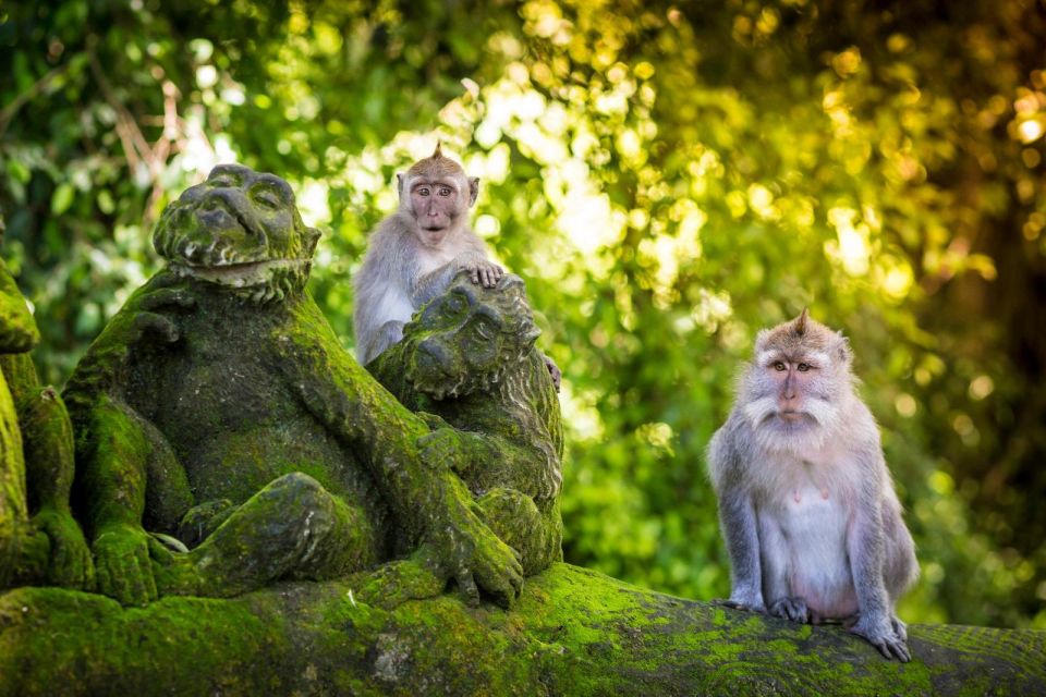 Ubud: Monkey Forest, Waterfall, Rice Terrace & Water Temple - Gunung Kawi Sebatu Temple Visit
