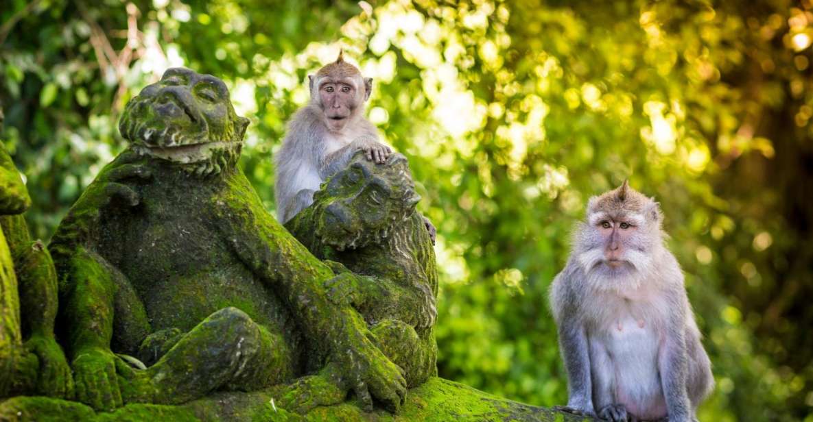 Ubud: Monkey Forest, Waterfall, Rice Terrace & Water Temple - Why Choose This Ubud Day Trip