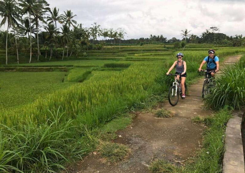 Ubud: Old Spiritual Village & Countryside Life Cycling Tour - An In-Depth Look at the Taro Countryside Cycling Tour