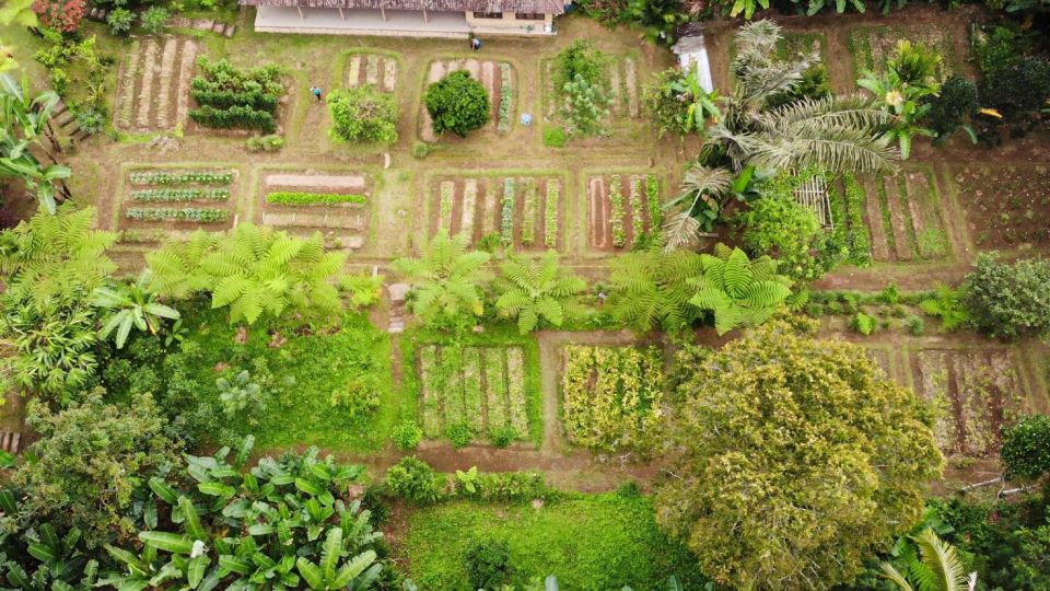 Ubud: Organic Farm Harvest, Bali Cooking Class by Pemulan - Important Information