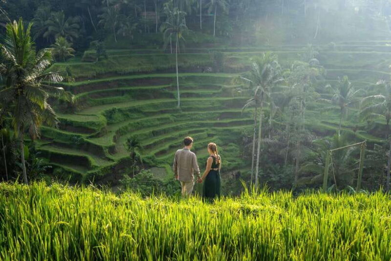 Ubud: Photography Tour Rice Terrace, Waterfall, & Swing - Authenticity and Value