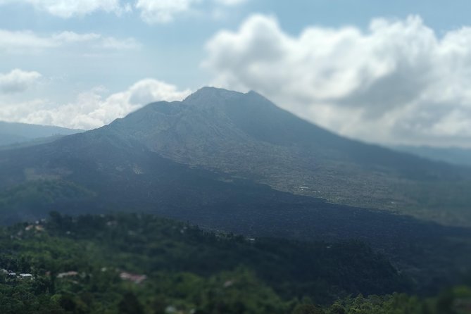 Ubud Private & Customize Day Tour - Pricing and Booking Details