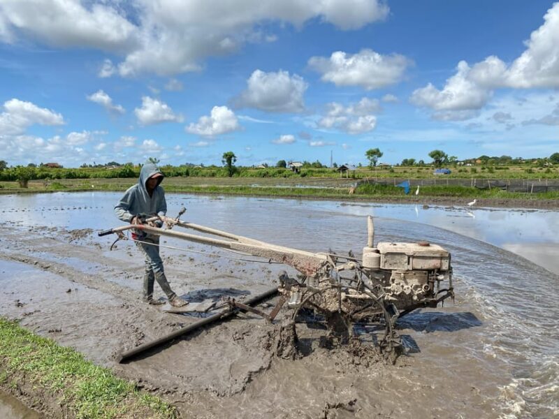 Ubud: PRIVATE E-bike Tour inside Rice Field with meal & pool - Final Thoughts