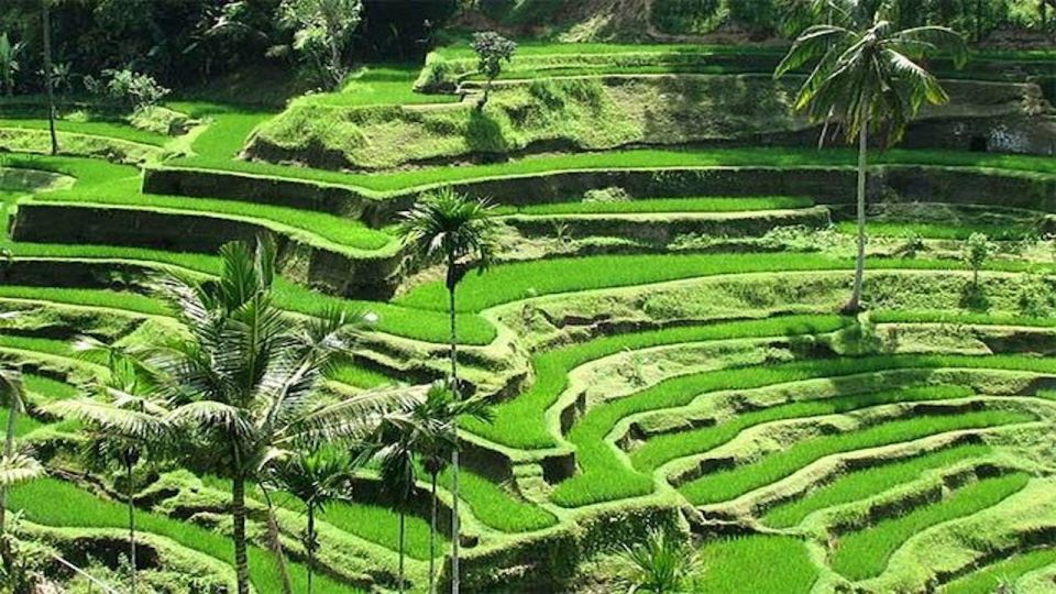 Ubud: Private Evening Tour With Legong Dance Performance - Witnessing Legong Dance Performance
