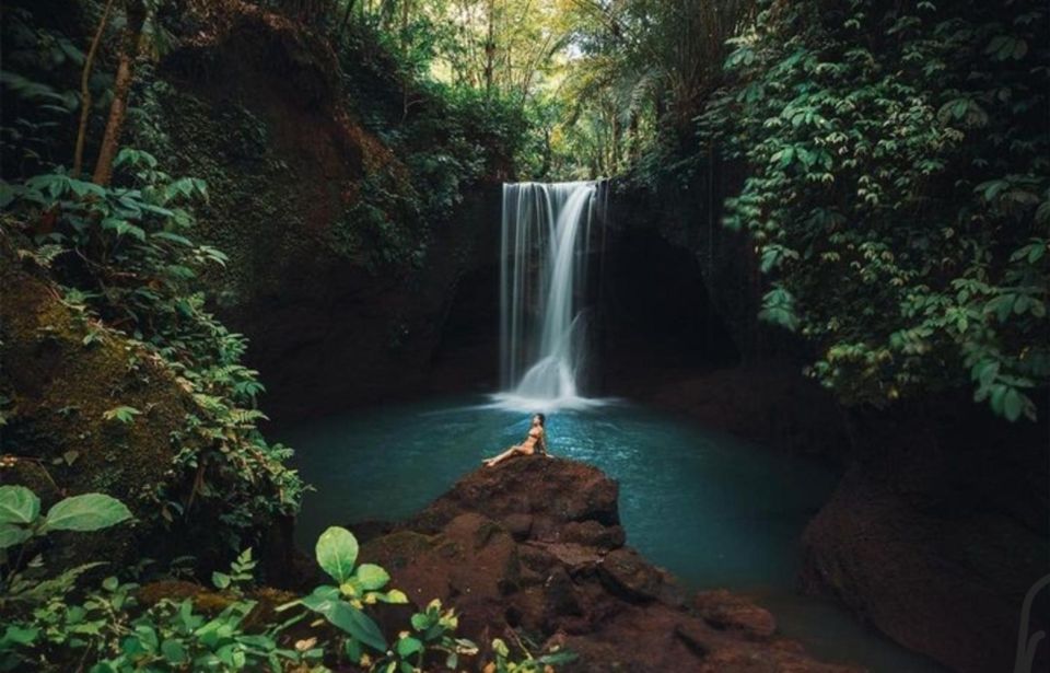 Ubud: Private Guided Customizable Full-Day Trip - Included Amenities