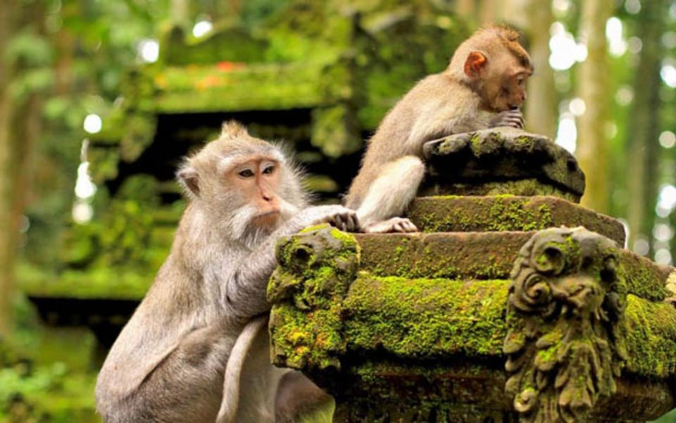 Ubud: Private Guided Customizable Full-Day Trip - Booking Information