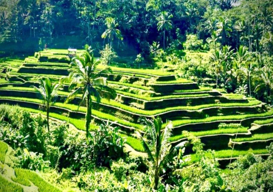 Ubud: Private Guided Customizable Full-Day Trip - Frequently Asked Questions