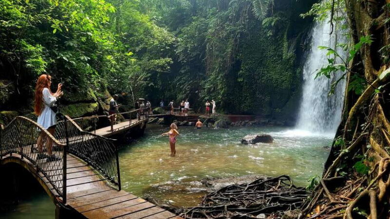 Ubud: Private Half-Day Tour with Rice Terrace & Waterfall - Key Points