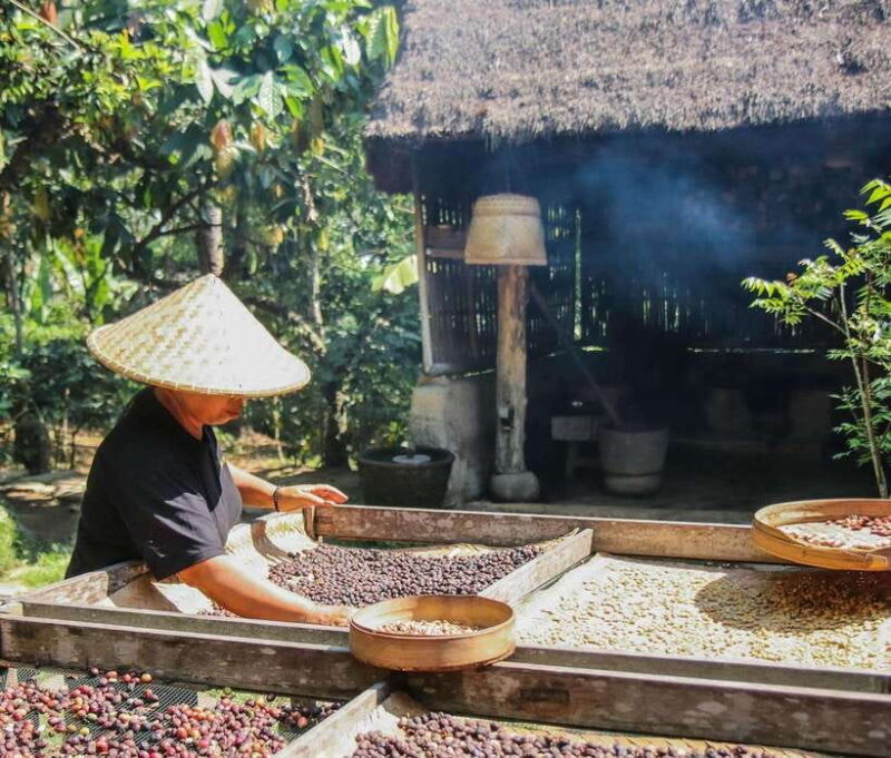 Ubud: Private Half-Day Tour with Rice Terrace & Waterfall - Visiting Pura Gunung Kawi Sebatu