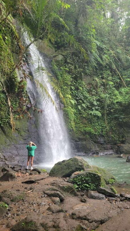 Ubud: Private Half-Day Tour with Rice Terrace & Waterfall - Practical Details and Considerations