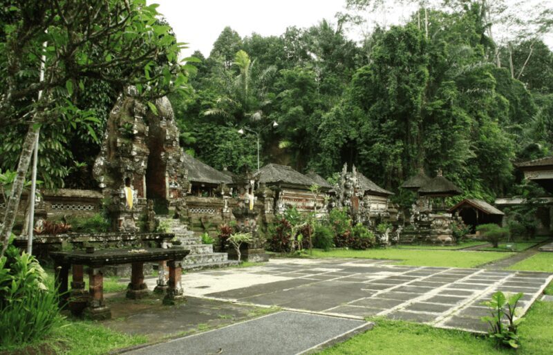 Ubud: Private Half-Day Tour with Rice Terrace & Waterfall - Authenticity and Value