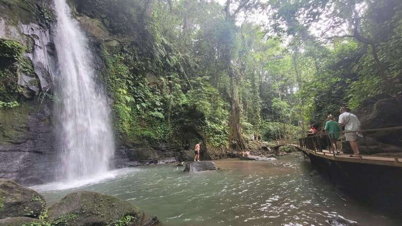 Ubud: Private Half-Day Tour with Rice Terrace & Waterfall - Who Is This Tour Best For?