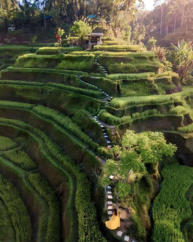 Ubud: Private Hidden Waterfalls and Rice Terrace Tour - FAQs