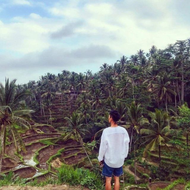Ubud Private Tour: Monkey Forest, Rice Terraces & Waterfall - Monkey Forest Experience