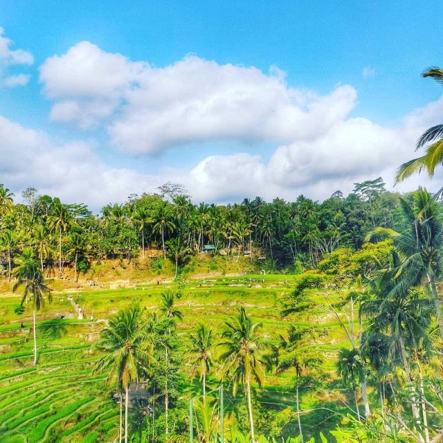 Ubud Private Tour: Monkey Forest, Rice Terraces & Waterfall - Tegenungan Waterfall Visit